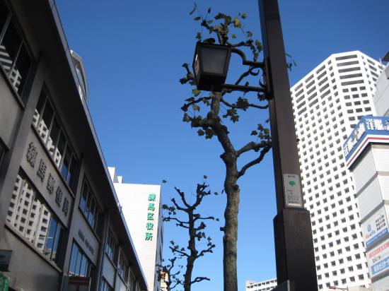 e0183804_21463176.jpg