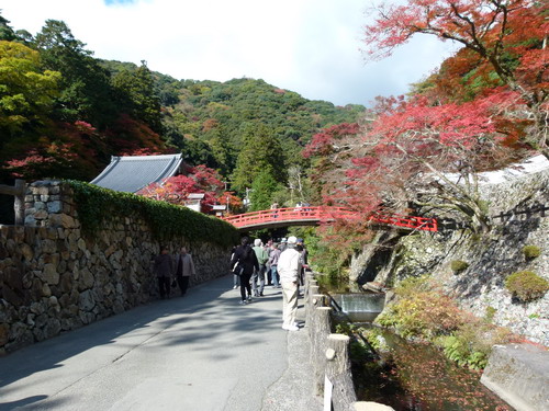 b0052108_2313490.jpg