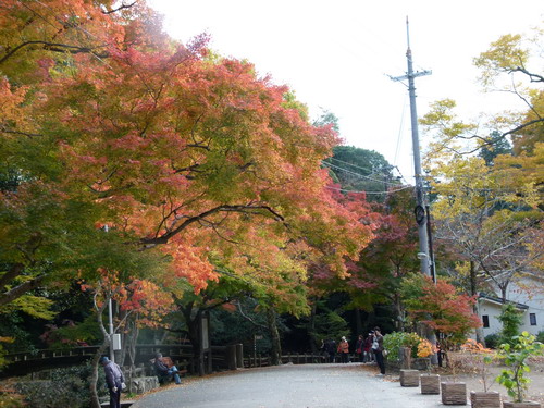 b0052108_23224199.jpg