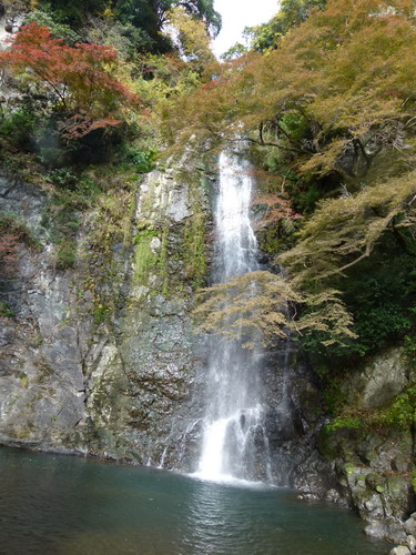 b0052108_2337103.jpg