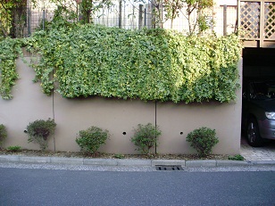 f0008510_112295.jpg