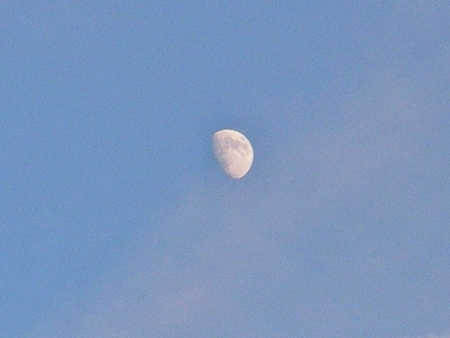 d0144618_20395742.jpg