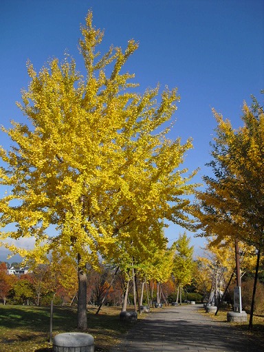 e0071819_9334968.jpg