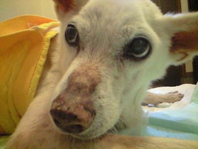 e0090719_0274811.jpg