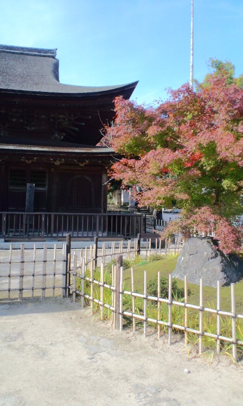 e0050324_1662359.jpg