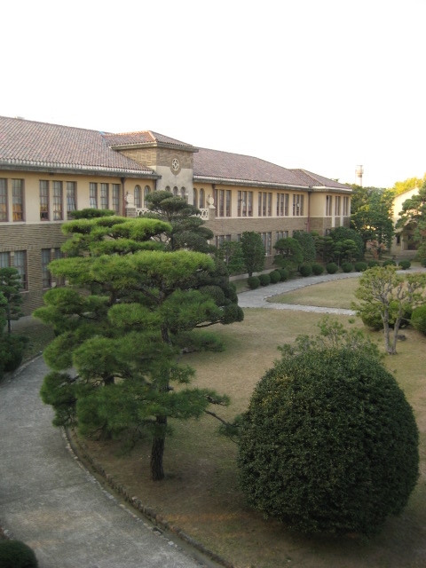 d0147727_2011090.jpg