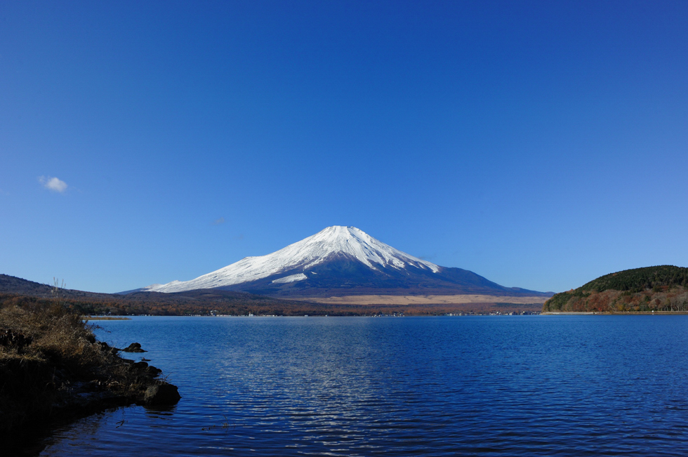 c0193532_1252454.jpg