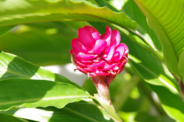 c0228937_833310.jpg