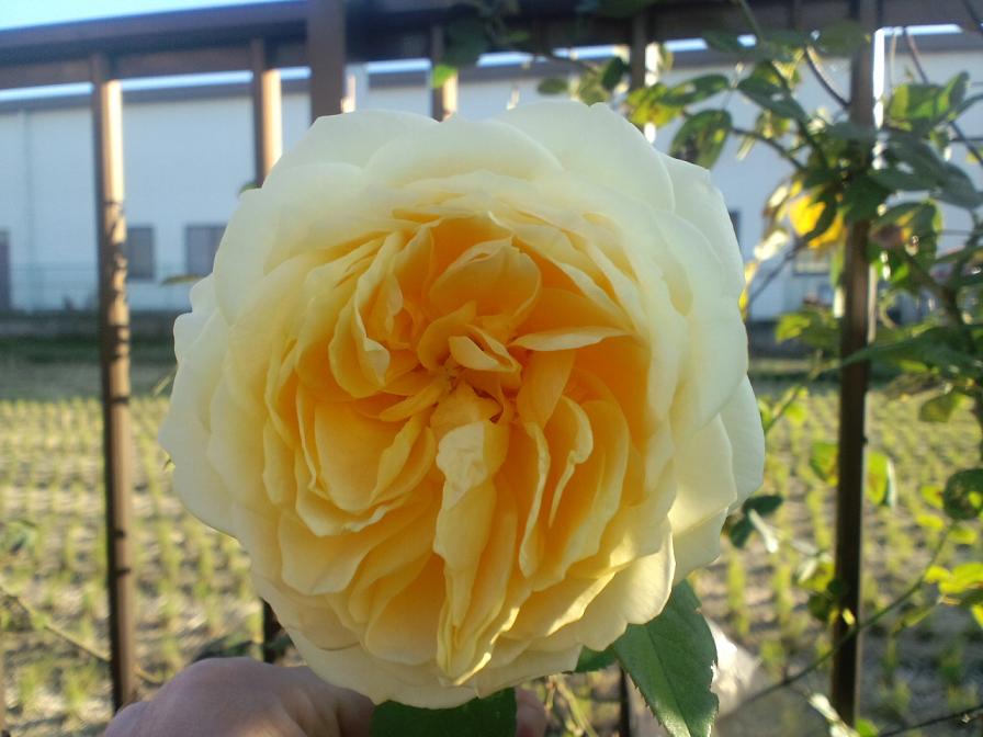 b0076739_1272820.jpg