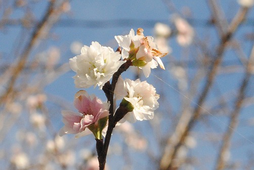 a0048040_20111175.jpg
