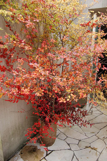 a0060141_14231133.jpg