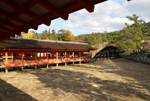 f0214649_5104837.jpg