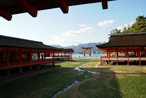 f0214649_54157.jpg