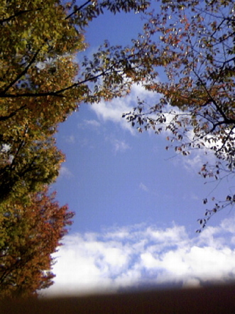 c0224154_2332419.jpg