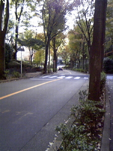 c0224154_2333545.jpg
