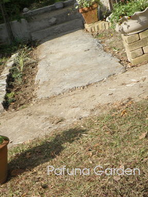 e0184558_723395.jpg