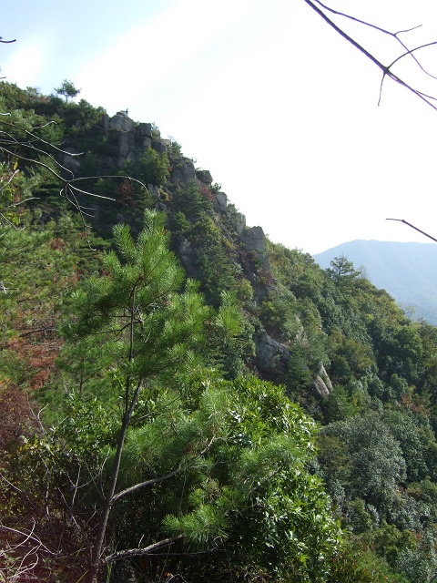 b0095061_17141675.jpg
