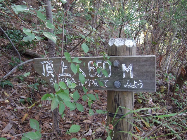 b0095061_1732343.jpg