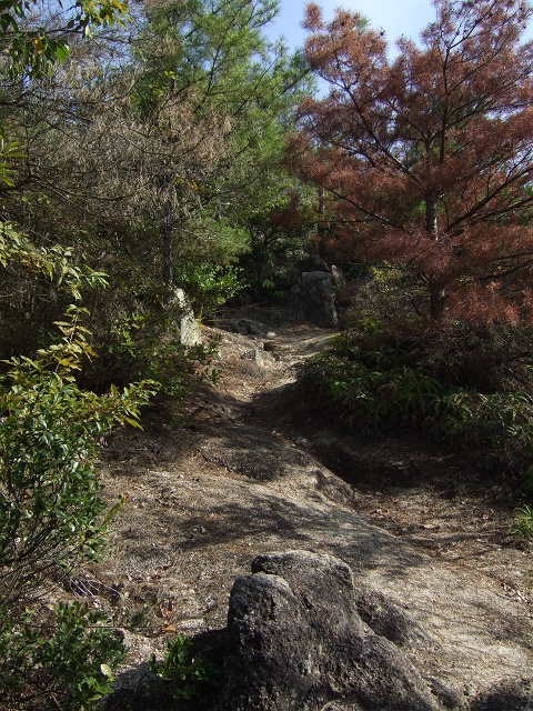 b0095061_1753770.jpg