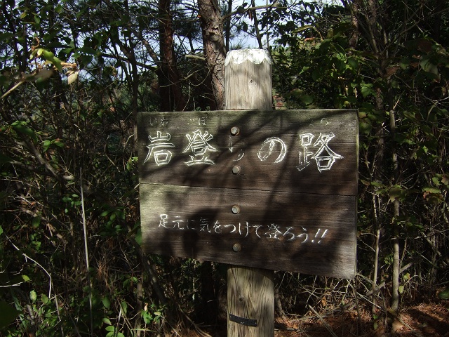 b0095061_177115.jpg