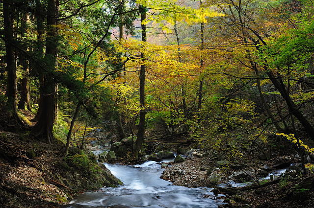 f0222161_20274554.jpg