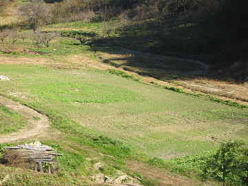 c0073564_11494684.jpg
