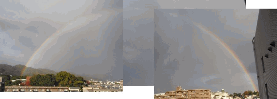 d0166164_20424855.gif