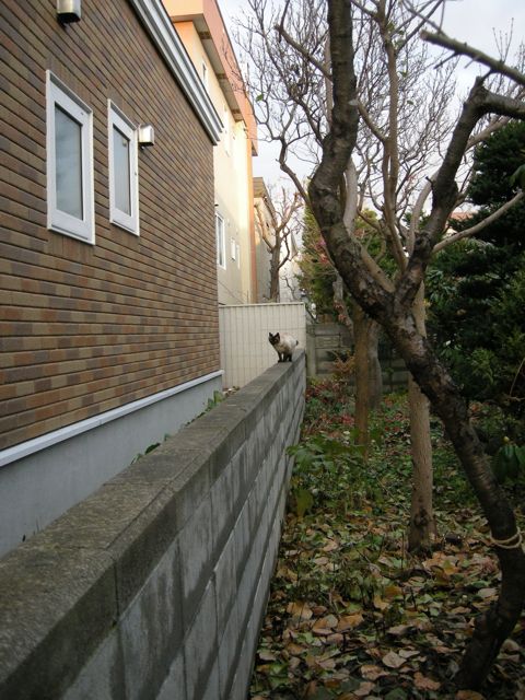 d0118965_1016171.jpg