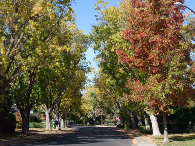c0115366_16583625.jpg