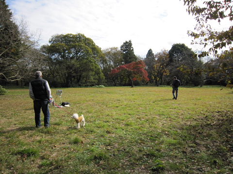 b0104592_9162734.jpg