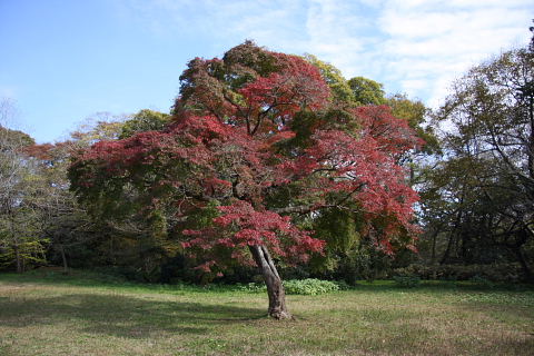 b0104592_9171167.jpg