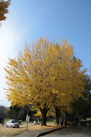 b0104592_9174355.jpg