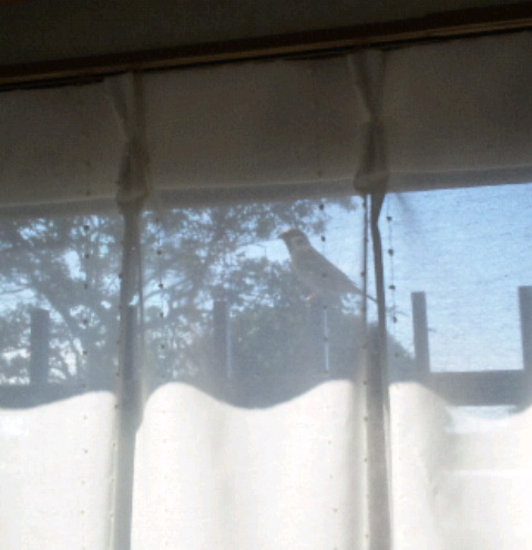 d0143192_1915183.jpg