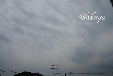 e0122194_1632865.jpg