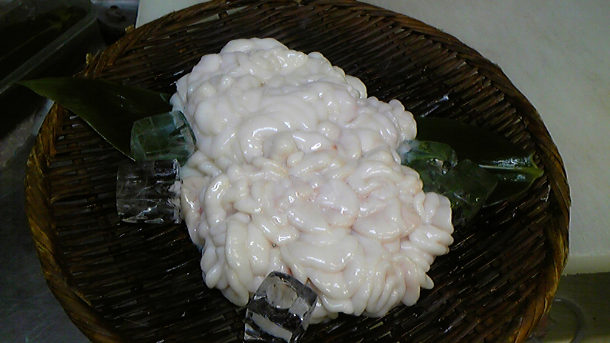 f0084695_162401.jpg