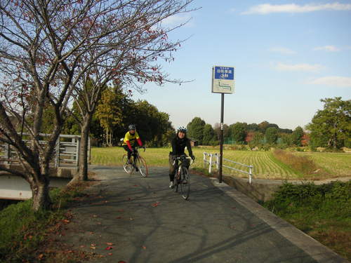 d0115997_22501550.jpg