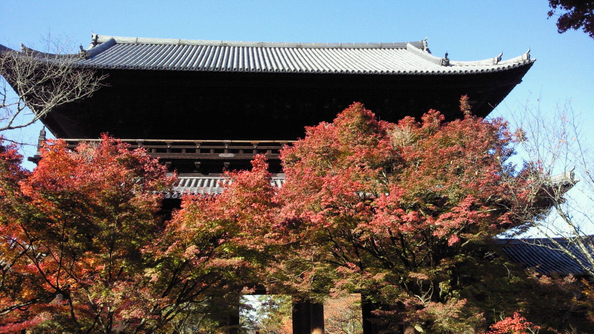 e0148100_2132682.jpg