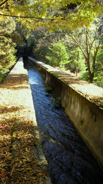 e0148100_21333141.jpg