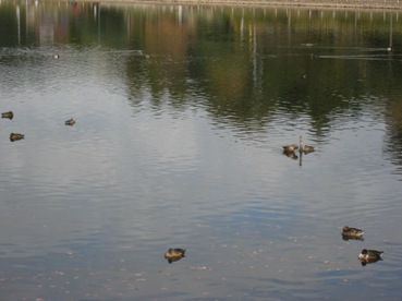 e0033301_23194864.jpg