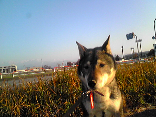 f0079202_15382590.jpg