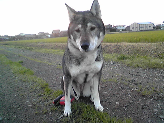 f0079202_15382594.jpg