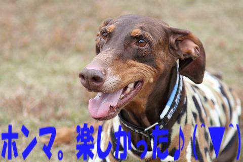 e0100007_11482627.jpg