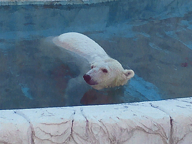 a0151913_1437427.jpg