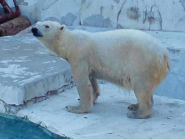 a0151913_14374287.jpg