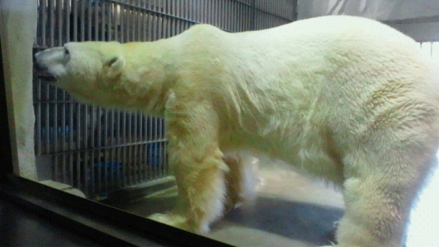 a0151913_15325969.jpg