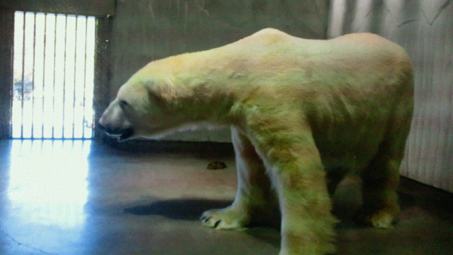 a0151913_15325977.jpg
