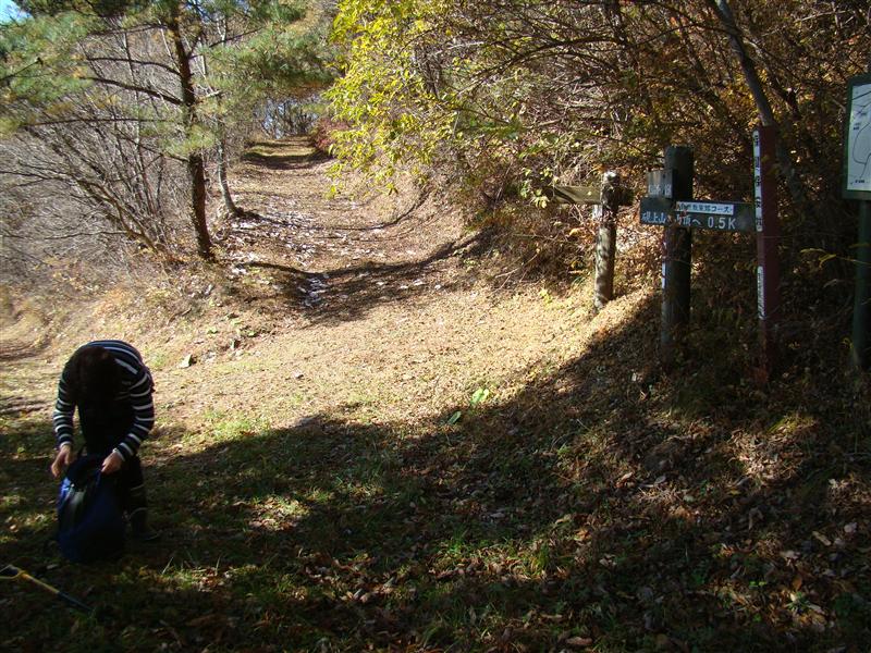 a0127015_19245248.jpg
