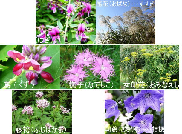 d0070316_045185.jpg