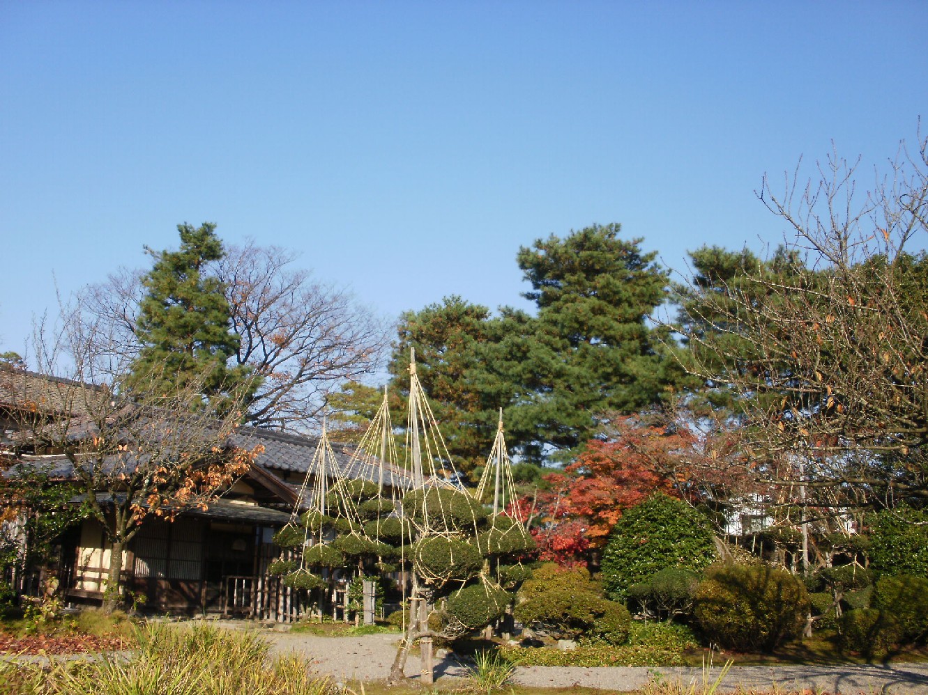e0135219_14523251.jpg
