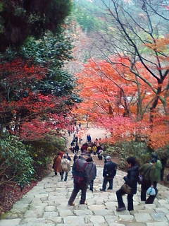 c0074721_16445087.jpg